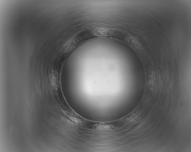 X0000057060332200509120855