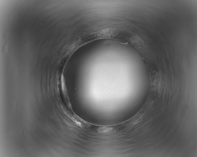 X0000057060334200509120854