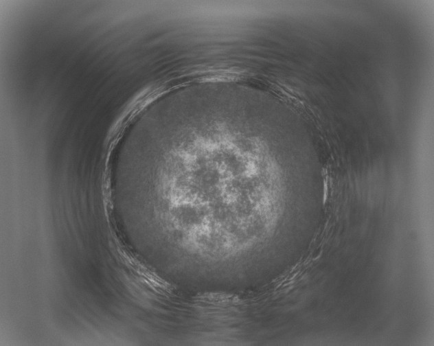 X0000057060339200509120854