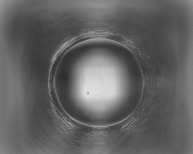 X0000057060340200509120854