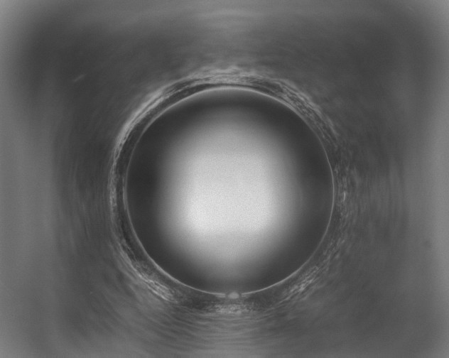 X0000057060344200509120854