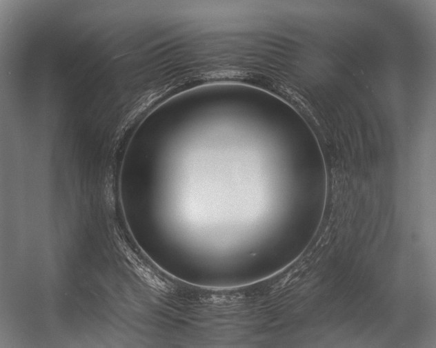 X0000057060345200509120854