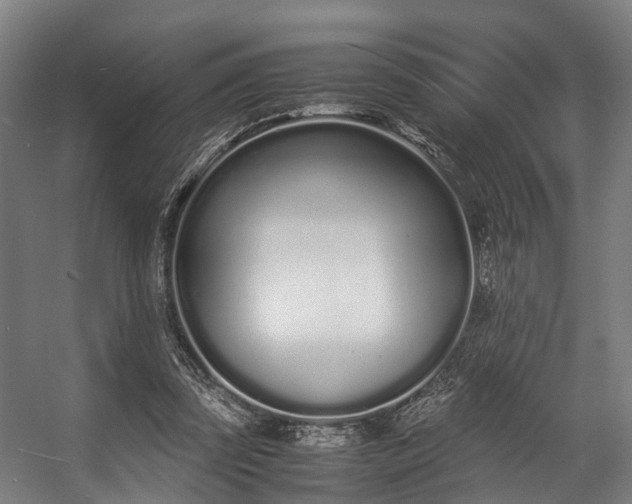 X0000057060347200509120854