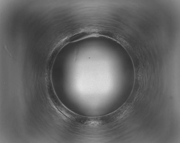 X0000057060352200509120854