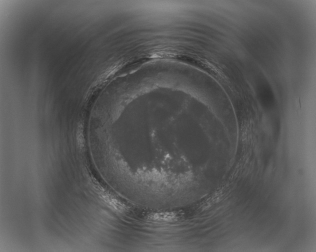 X0000057060353200509120854