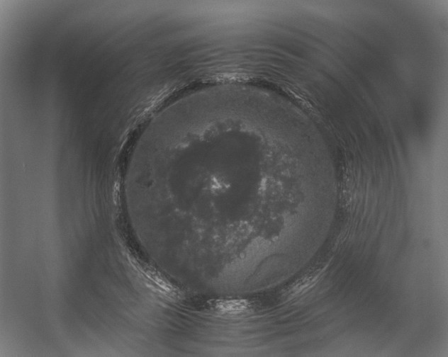 X0000057060355200509120854