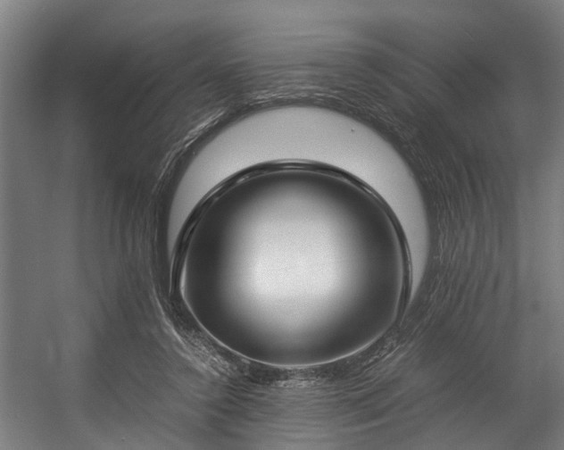 X0000057060356200509120854