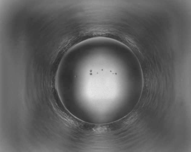 X0000057060362200509120854