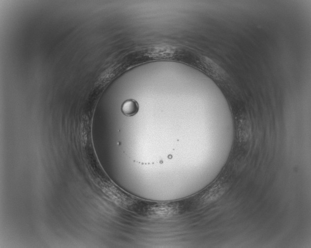 X0000057060370200509120854