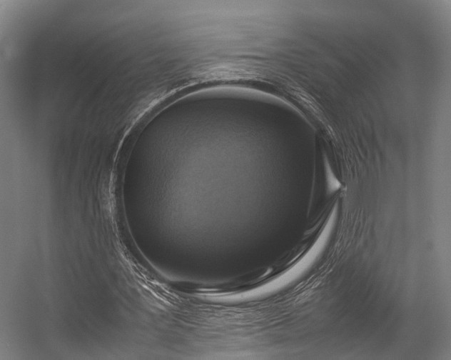 X0000057060387200509120854