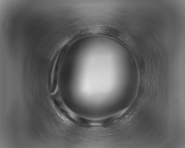 X0000057060393200509120853