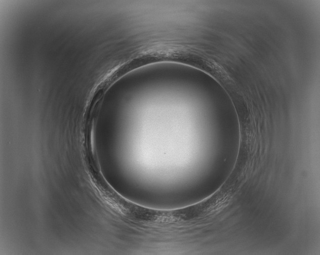 X0000057060399200509120853