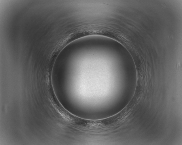 X0000057060401200509120853