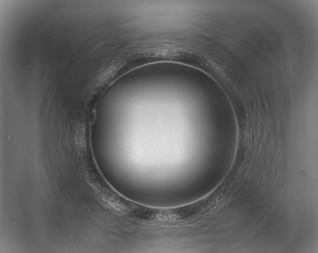 X0000057060403200509120853