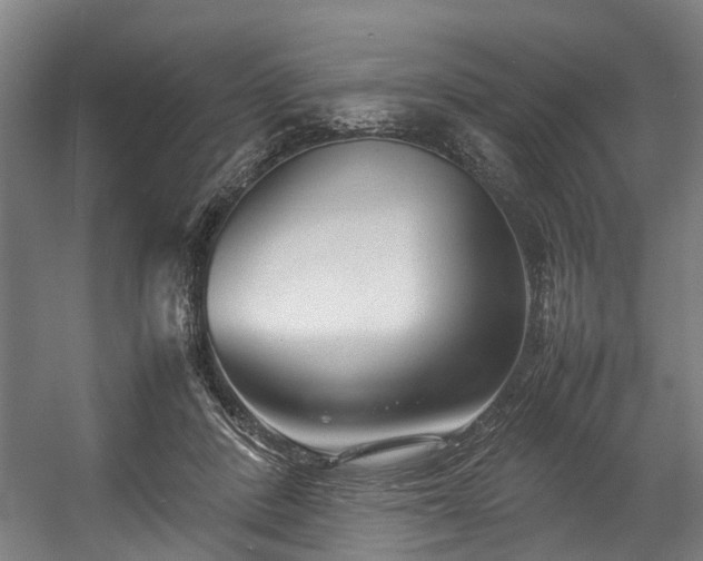 X0000057060408200509120853