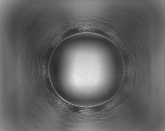 X0000057060417200509120853