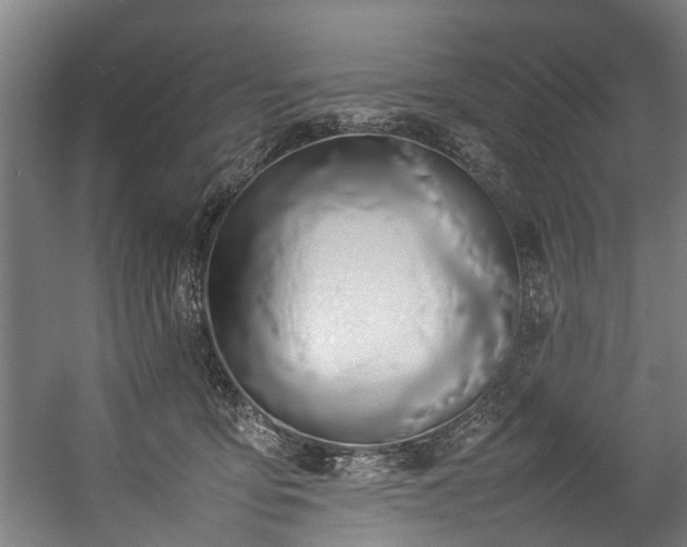 X0000057060419200509120853