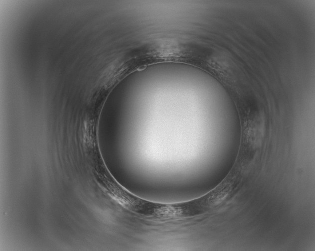 X0000057060421200509120853