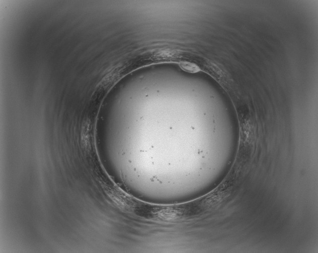 X0000057060423200509120853