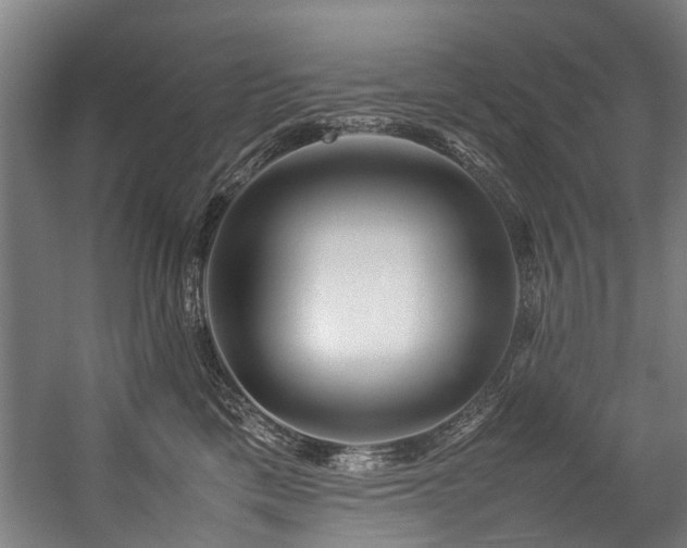 X0000057060425200509120853