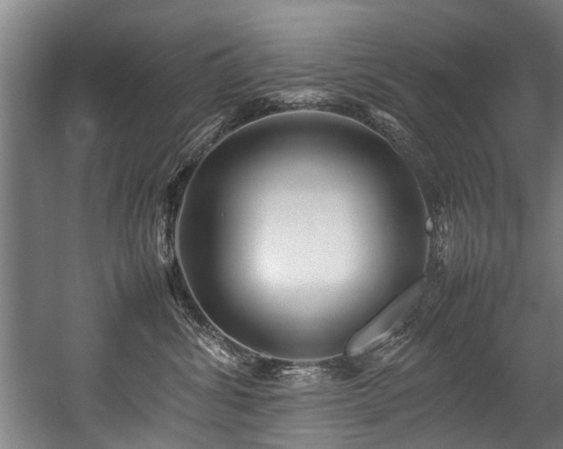 X0000057060428200509120853