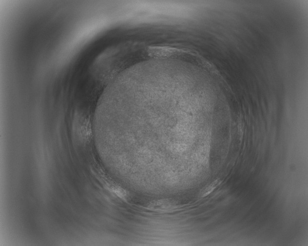 X0000057060431200509120853