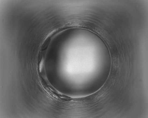 X0000057060434200509120852