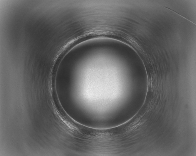 X0000057060438200509120852