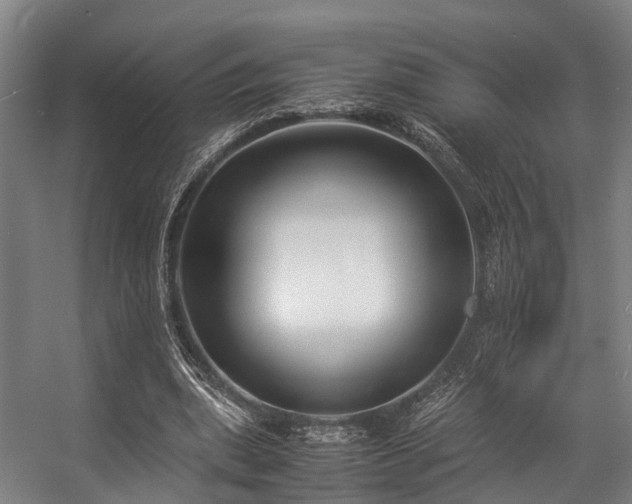 X0000057060439200509120852