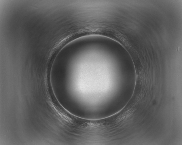 X0000057060442200509120852