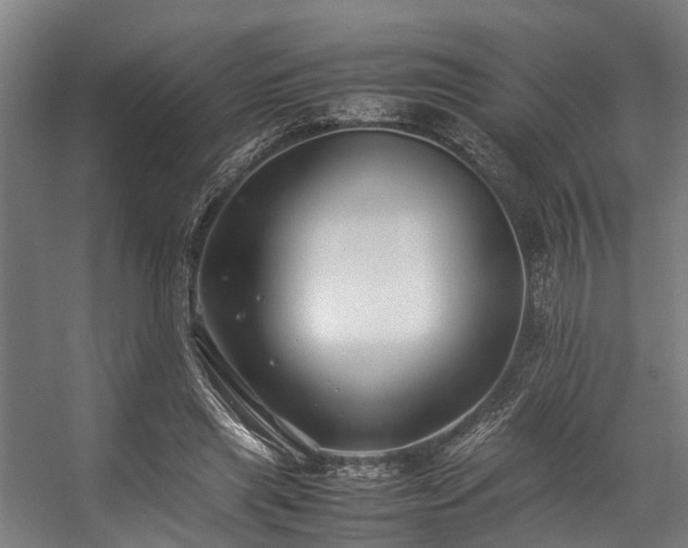 X0000057060445200509120852