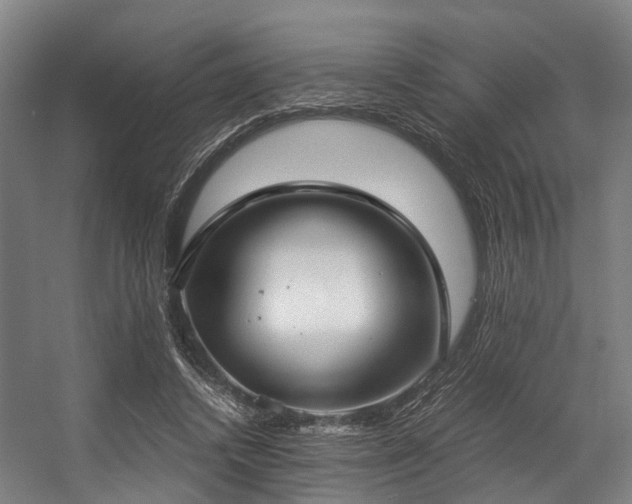 X0000057060448200509120852