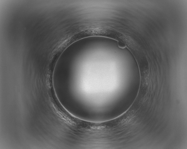 X0000057060450200509120852