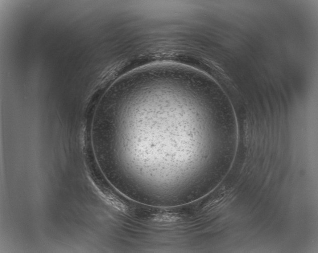 X0000057060451200509120852