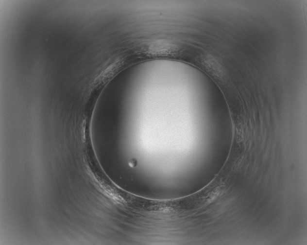 X0000057060454200509120852