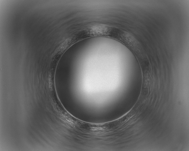 X0000057060457200509120852