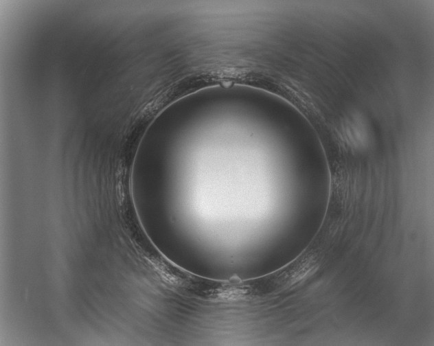 X0000057060462200509120853