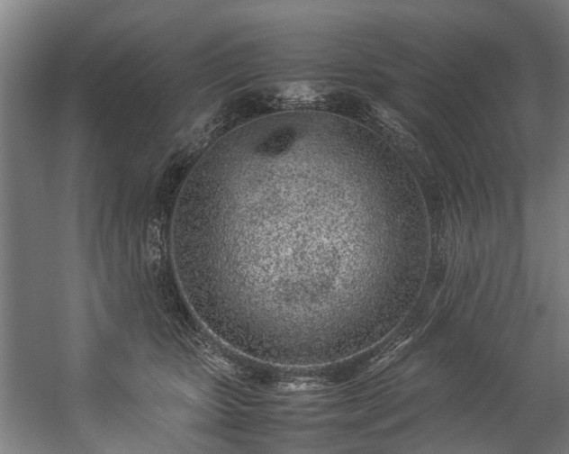 X0000057060467200509120853