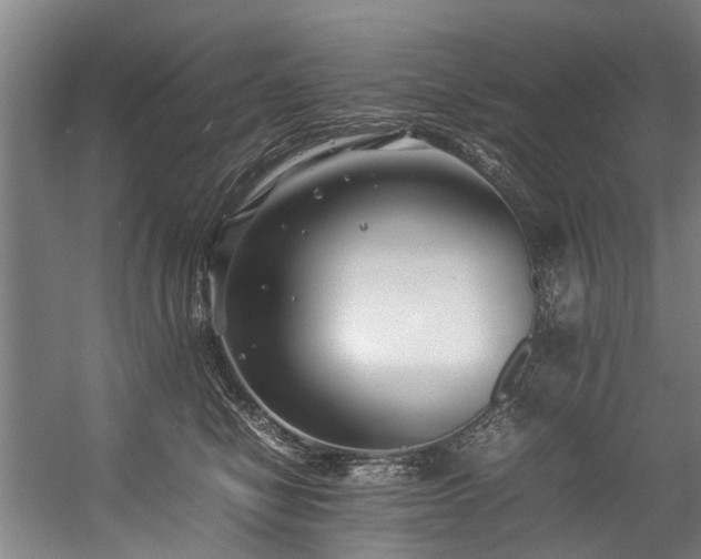 X0000057060470200509120853