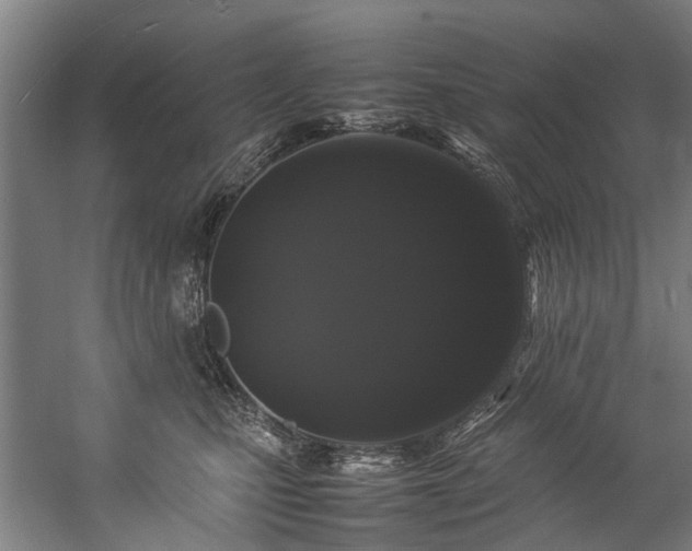 X0000057060471200509120853