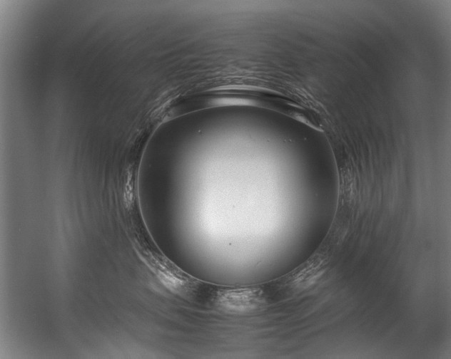 X0000057060479200509120853