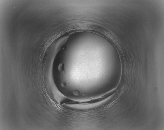 X0000057060481200509120852