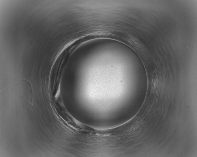 X0000057060484200509120852