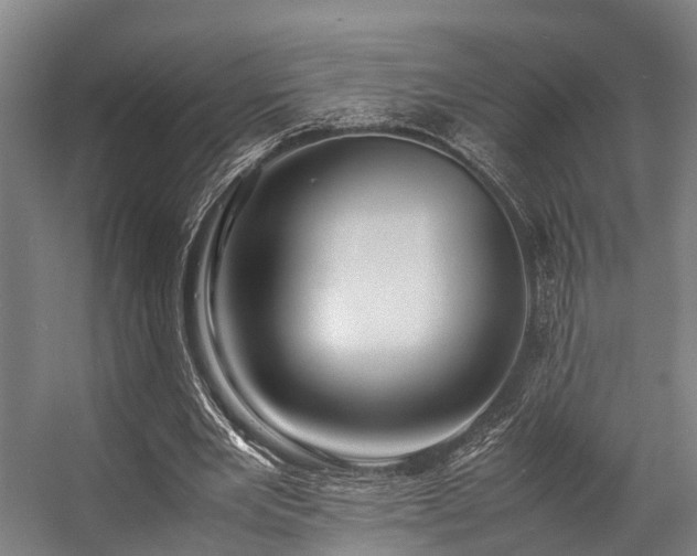 X0000057060485200509120852