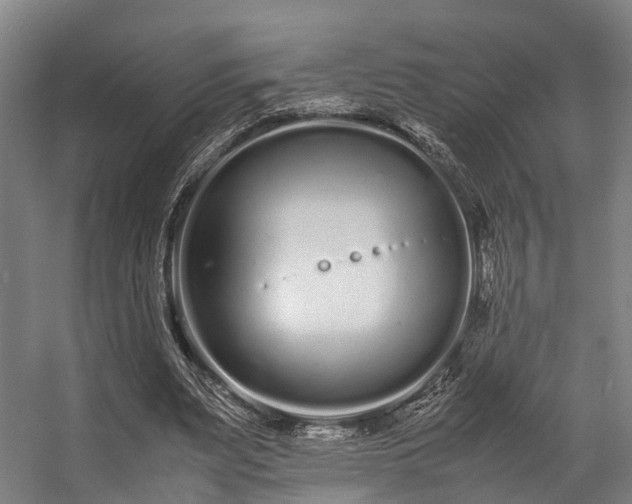 X0000057060487200509120852