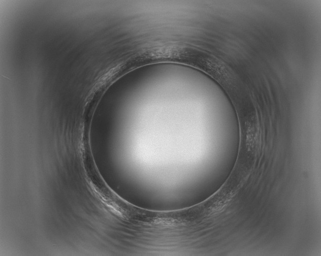 X0000057060490200509120852