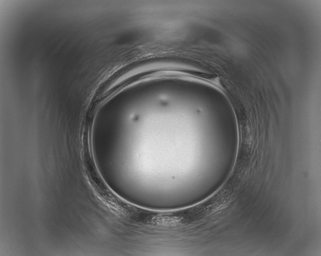 X0000057060491200509120852