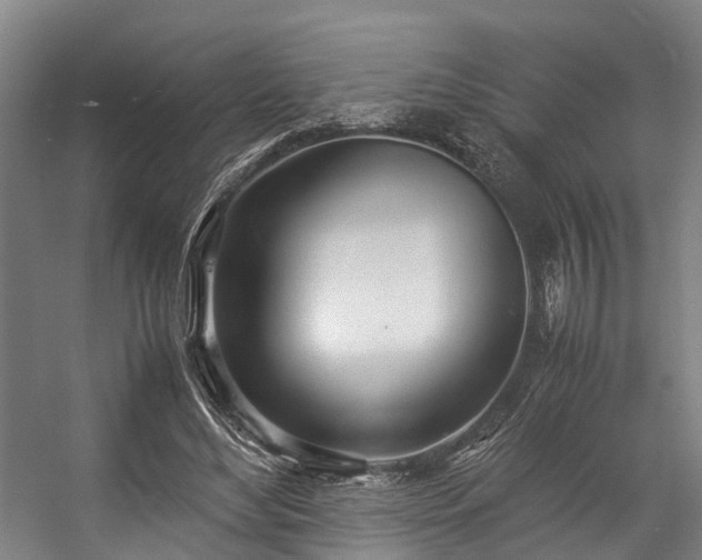 X0000057060492200509120852