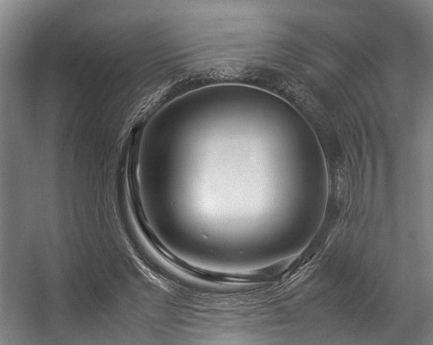 X0000057060493200509120852