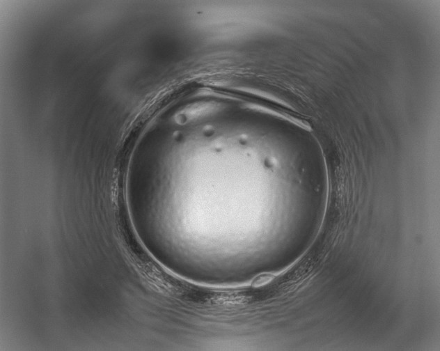 X0000057060495200509120852